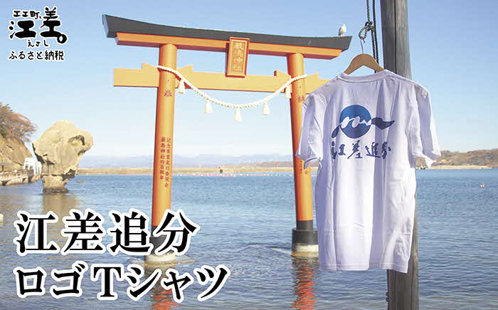  江差追分 ロゴTシャツ【Mサイズ】肌触りのよい綿100％　男女兼用　トップス　インナー　丸首　半袖　ティーシャツ　綿　4サイズ展開（S・M・L・XL）