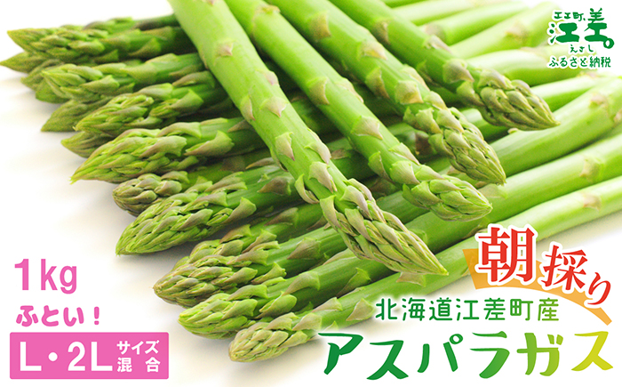 ＼春アスパラ 先行予約 2026年4月～順次出荷予定／北海道江差町産 アスパラガス【L～2Lサイズ】 1kg　約20本　太い！ 甘い！ ジューシー！　朝採り　農家直送　新鮮　鮮度保持　北海道　旬野菜　グリーンアスパラ　アスパラ　ギフト　贈答