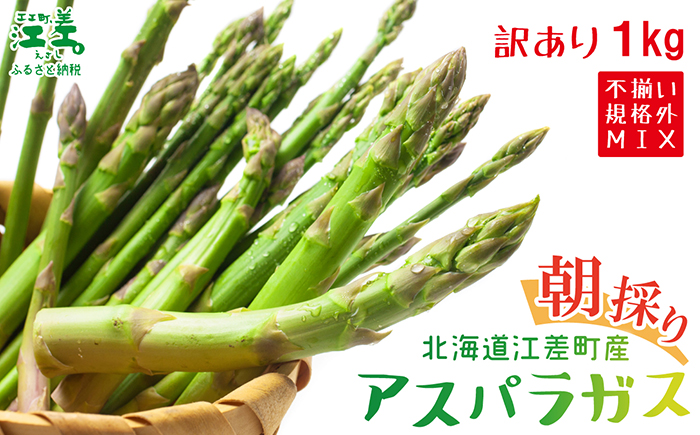 ＼春アスパラ 先行予約 2026年4月～順次出荷予定／《訳あり》北海道江差町産 アスパラガス 1kg【サイズ不揃い・規格外MIX】　見た目は良くなくても鮮度や味は正規品と変わりません！　朝採り　農家直送　新鮮　鮮度保持　北海道　旬野菜　グリーンアスパラ　アスパラ　ご自宅用　無選別・規格外・ハネ物・B品