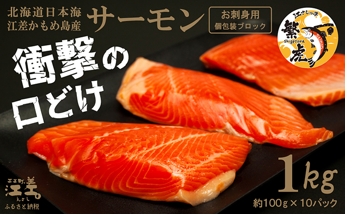 【ご愛顧感謝寄附額】【年内配送受付12/23まで】北海道産 サーモン お刺身用ブロック 1kg（100g×10P）　日本海 かもめ島海面養殖　純国産 ブランドサーモン『江さしっ子 繁虎』　衝撃の口どけ　とろける脂　生食可　冷凍　小分け　個包装 　トラウトサーモン　刺身　サーモンステーキ　カルパッチョ　海鮮　鮭　さけ　シャケ　しゃけ　さーもん