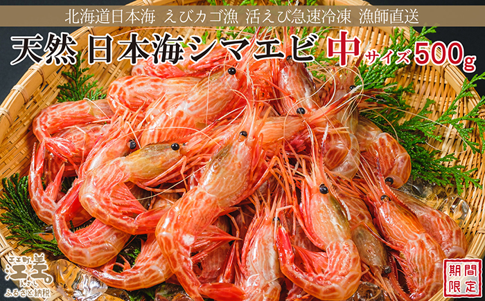 【早期予約・12月中旬以降 順次出荷予定】北海道産 違いが分かる天然日本海シマエビ 中サイズ 500g　色鮮やかで香りよし 濃厚な甘み 食べれば分かる格別の味！　国産　江差近海産　天然もの　エビかご漁師直送　最良品厳選　生食可　お刺身　唐揚げ　海老