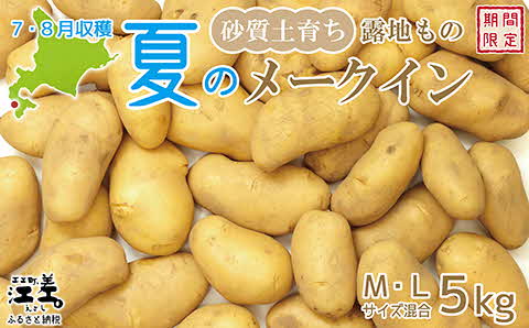 【お申込み順に出荷中】砂質土育ち「夏」メークイン M・L混合5kg　露地もの　手掘り　江差産メークイン　北海道のじゃがいも　芋の塩煮　肉じゃが　カレー　シチュー　コロッケ　色々なお料理に　北海道産