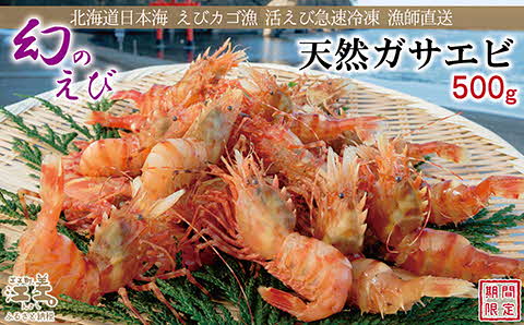 【早期予約・12月中旬以降 順次出荷予定】北海道産 「幻のえび」希少な天然ガサエビ 500g　引き締まった身肉と飽きのこない旨味 濃いエビの味が楽しめます！　国産　江差近海産　天然もの　エビかご漁師直送　最良品厳選　生食可　お刺身　天ぷら　エビフライ　海老