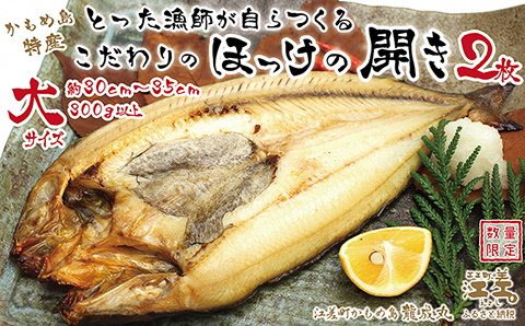 ＼配送時期指定可／北海道かもめ島特産 とった漁師が自らつくる こだわりのほっけの開き 大サイズ 2枚　約30cm～35cm 300g以上　食べごたえあり　甘塩　漁師直送　北海道日本海のホッケ　一夜干し　魚の干物　国産