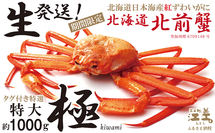 ＼10尾限定！早期予約・2026年3～4月限定出荷／生発送！【特大〈極〉】『北海道北前蟹』タグ付き特選 約1kg（冷蔵）　年にひと月だけの期間限定「生」出荷　北海道日本海産紅ずわいがに　カニかご漁師直販　厳格な鮮度管理　新鮮　甘くてジューシー　活カニ　生蟹　かに刺し　焼き蟹　蒸し蟹　かにみそ　かにしゃぶ　かに鍋　国産ベニズワイ
