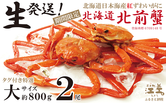 ＼早期予約・2026年3～4月限定出荷／生発送！【大2尾】『北海道北前蟹』タグ付き特選 約800g×2尾（冷蔵）　年にひと月だけの期間限定「生」出荷　北海道日本海産紅ずわいがに　カニかご漁師直販　厳格な鮮度管理　新鮮　甘くてジューシー　活カニ　生蟹　かに刺し　焼き蟹　蒸し蟹　かにみそ　かにしゃぶ　かに鍋　国産ベニズワイ