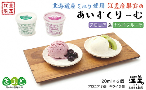 北海道産ミルク使用　江差産果実のアイスクリーム　アロニア＆キウイフルーツ【思いやり型返礼品】各120ml×3個（計6個）　「とろけるくちどけ　あふれるミルク感」　農福連携