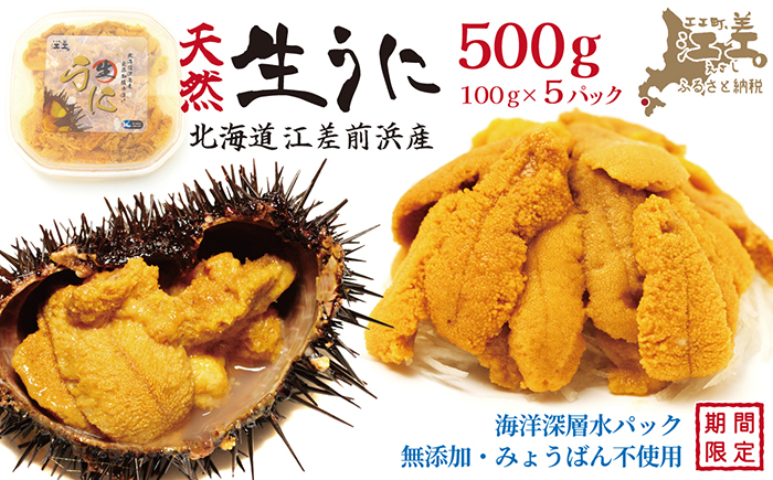 ＼2026年先行予約／北海道 江差前浜産 生うに 500g（100g×5パック）【無添加・みょうばん不使用】令和8年　江差産天然キタムラサキウニ　日本海熊石産海洋深層水　塩水ウニ　素材を生かした自然の味　国産うに　雲丹　100グラムパック個包装