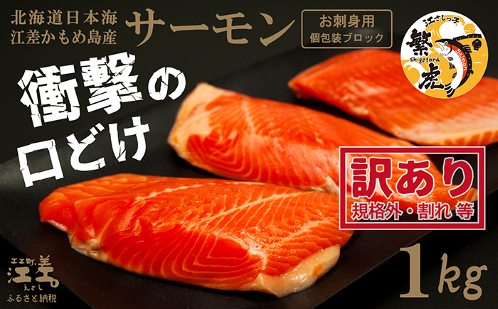 【完売御礼】【訳あり】北海道産 サーモン お刺身用ブロック 1kg（約10～14パック前後）　日本海 かもめ島海面養殖　純国産 ブランドサーモン『江さしっ子 繁虎』　衝撃の口どけ　とろける脂　生食可　冷凍　小分け　個包装　トラウトサーモン　刺身　サーモンステーキ　カルパッチョ　海鮮　鮭　さけ　シャケ　しゃけ　さーもん　切り落とし　規格外