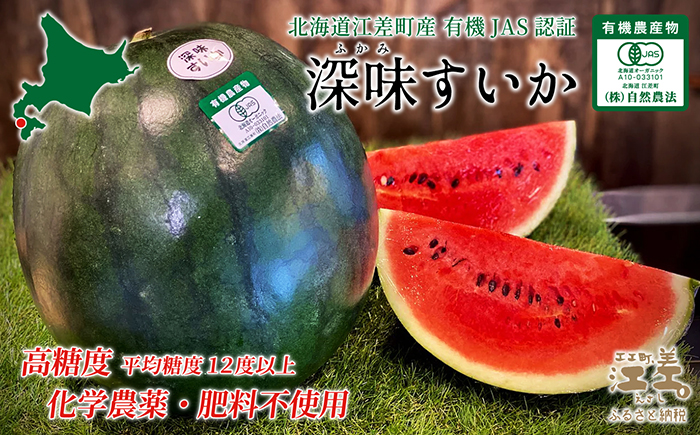【2026年8月下旬発送開始】北海道産 黒皮 深味すいか  中玉 5.5kg以上 1玉  有機農産物（JAS認証）　高糖度　化学農薬不使用　オーガニック　有機農業　スイカ　すいか　西瓜　 高級西瓜　黒皮すいか　黒玉スイカ　フルーツ　果物　くだもの