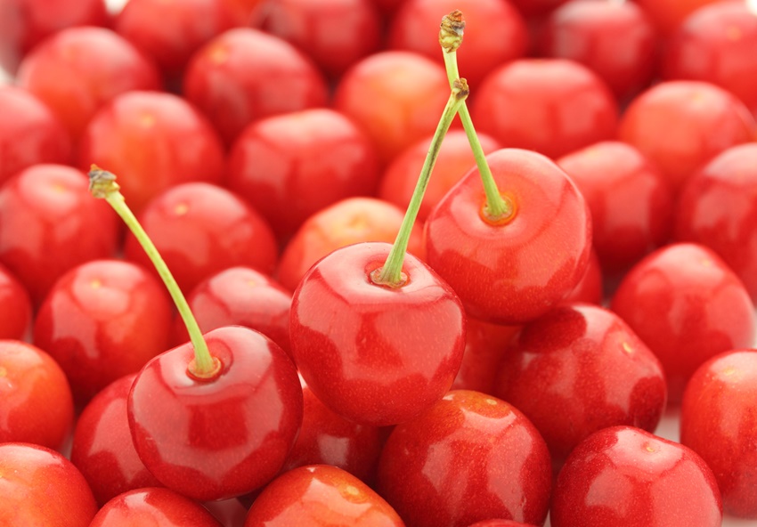 【2026年発送】さとう果樹園の安心・安全「さくらんぼ（佐藤錦）」　350g×2パック　サクランボ　果実　チェリー　果物　国産さくらんぼ　産地直送さくらんぼ　食べ頃さくらんぼ　北海道産