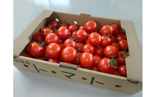 寅福菜園の高リコピントマト「サステナブルトマト」　4㎏