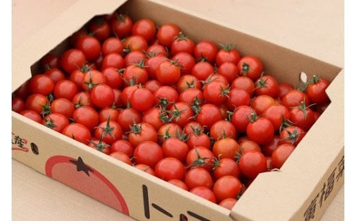 寅福菜園のミニトマト（4㎏）
