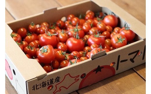 寅福菜園のサステナブルトマト＆ミニトマトセット（各2㎏）