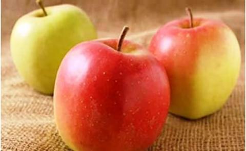 【2023年】北海道上ノ国町産 酸味と甘さが絶妙な【林檎（むつ）】 8個