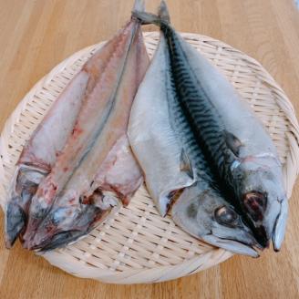 北海道産 上ノ国町 天日干し真サバ（2Lサイズ×2枚）