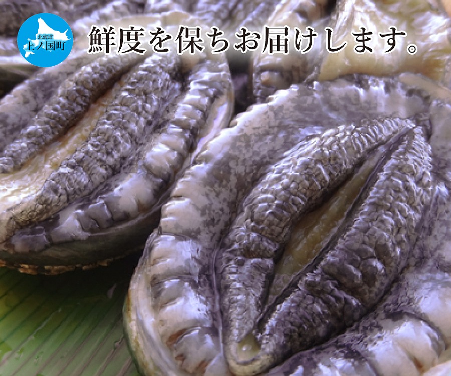 海洋牧場育ち養殖活蝦夷あわび（7㎝以上×6個）＆上ノ国ワイナリー上の白ナイアガラ2022（750ml×1本）