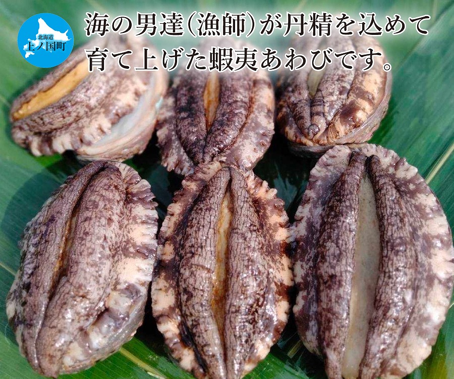 海洋牧場育ち養殖活蝦夷あわび（7㎝以上×12個）＆上ノ国ワイナリー上の白ナイアガラ2022（750ml×1本）