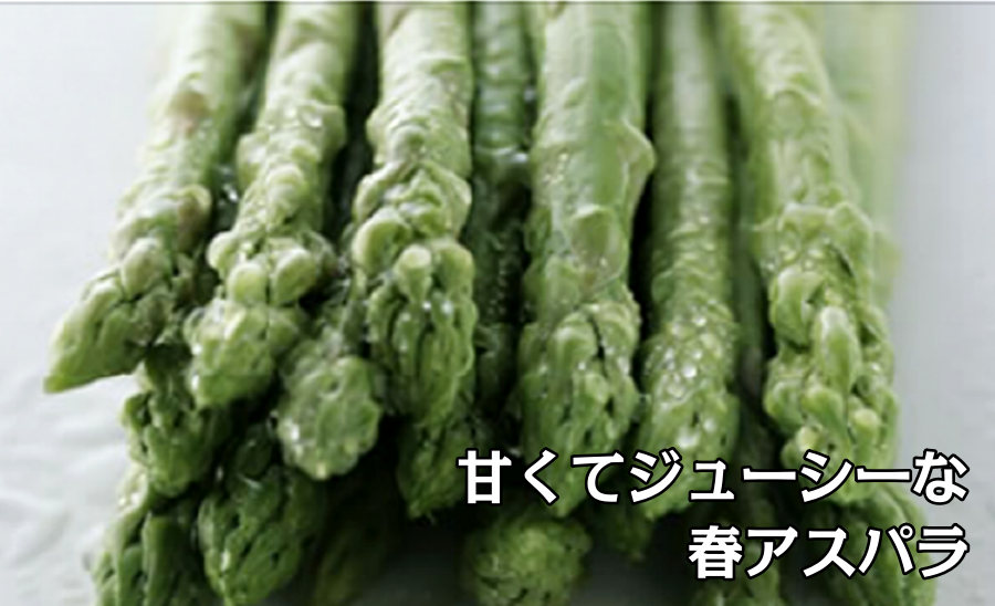 【2026年春発送】刀祢農園の朝採り春アスパラ　2L以上（800g）　グリーンアスパラ　朝採れ　農家直送　新鮮　甘い　春野菜　旬野菜　特産品　北海道産