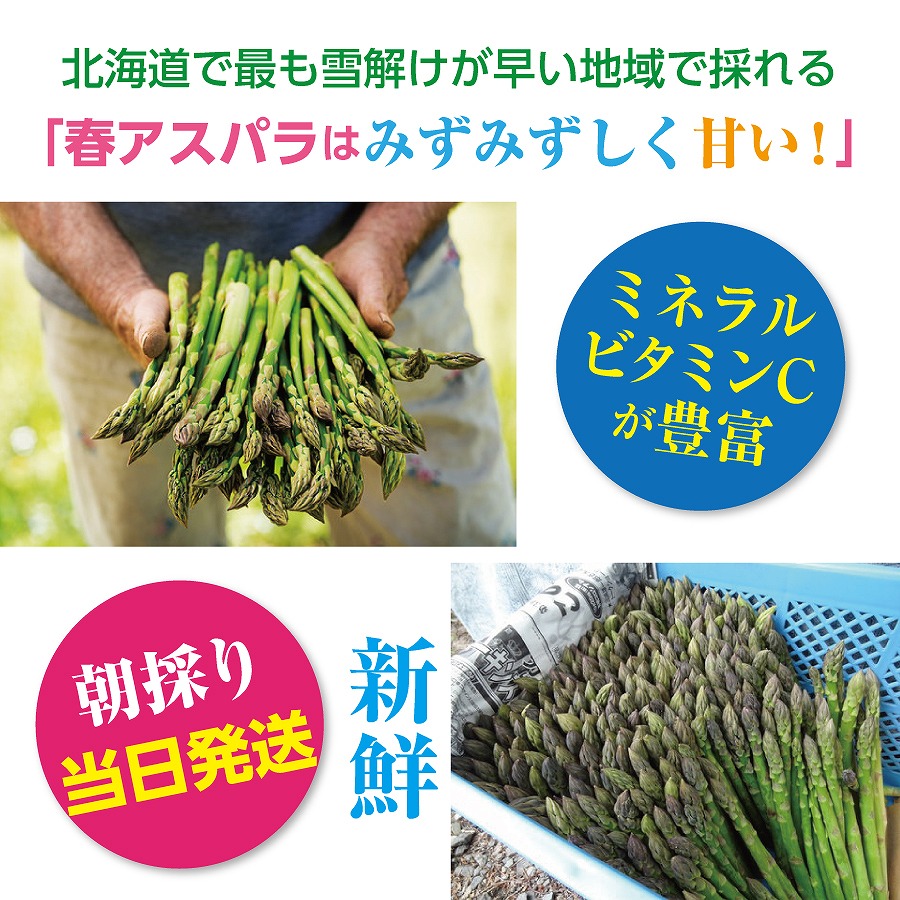 【2026年春発送】刀祢農園の朝採り春アスパラ　2L以上（1.8㎏）　グリーンアスパラ　朝採れ　農家直送　新鮮　甘い　春野菜　旬野菜　特産品　北海道産