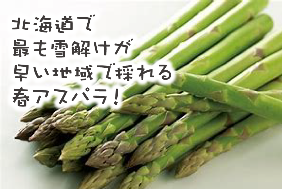 【2026年春発送】刀祢農園の朝採り春アスパラ　M～L（800g）　グリーンアスパラ　朝採れ　農家直送　新鮮　甘い　春野菜　旬野菜　特産品　北海道産