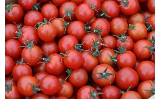 寅福菜園のミニトマト（4㎏）