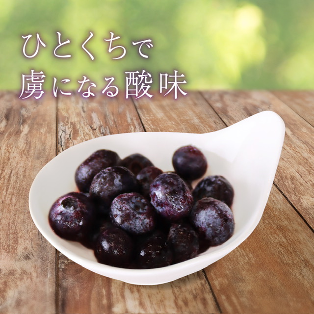 北海道産 冷凍ブルーベリー　720g（180g×4袋）　ノーザンハイブッシュ系品種　冷凍　国産　人気　フルーツ　果物　くだもの　スイーツ　加工品　ポリフェノール