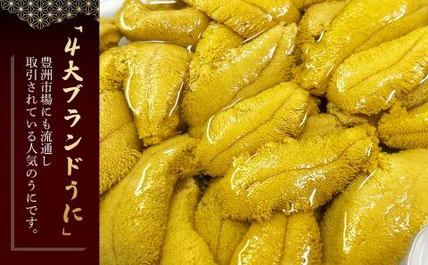 【2024年6月発送】北海道産 上ノ国町 塩水生うに（100g×2パック）