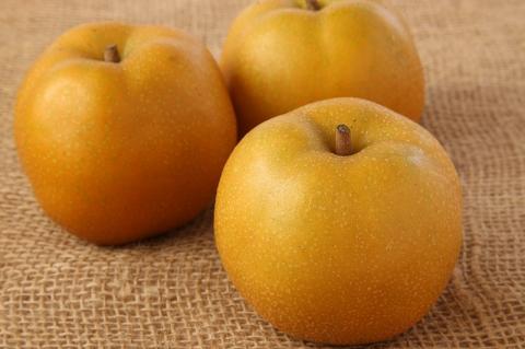 【2024年】北海道上ノ国町産 さとう果樹園のくだものフェアＢ【7月･8月･10月定期便】