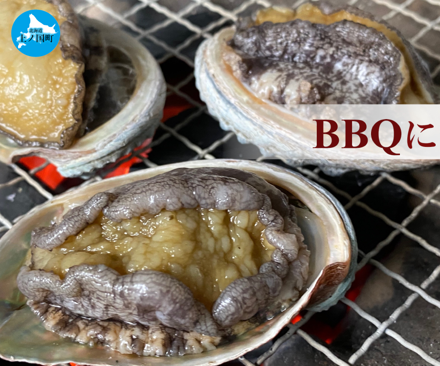 海洋牧場育ち養殖活蝦夷あわび（7㎝～7.4㎝×12個）　活アワビ　鮑　海鮮　産地直送　魚介類　海の幸　おせち　エゾアワビ　冷蔵　アワビ　BBQ　バーベキュー　蝦夷鮑
