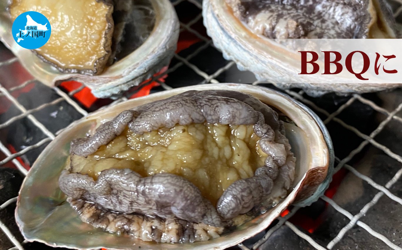 海洋牧場育ち養殖活蝦夷あわび（7.5㎝以上×12個）　活アワビ　鮑　海鮮　産地直送　魚介類　海の幸　おせち　エゾアワビ　冷蔵　アワビ　BBQ　バーベキュー　蝦夷鮑