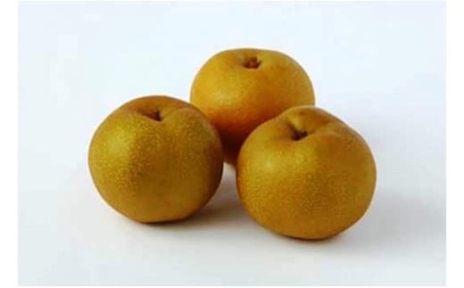 【2026年発送】北海道上ノ国町 さとう果樹園のくだものフェアＡ【6月･9月･11月定期便】