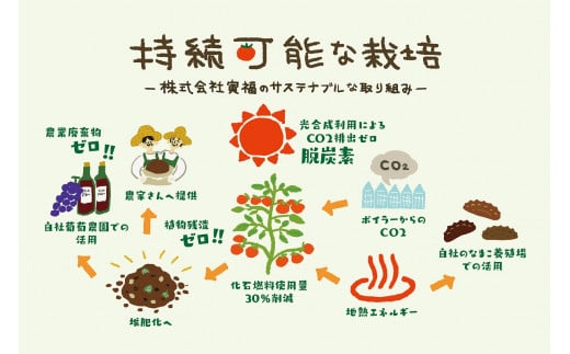 寅福菜園の高リコピントマト「サステナブルトマト」　4㎏