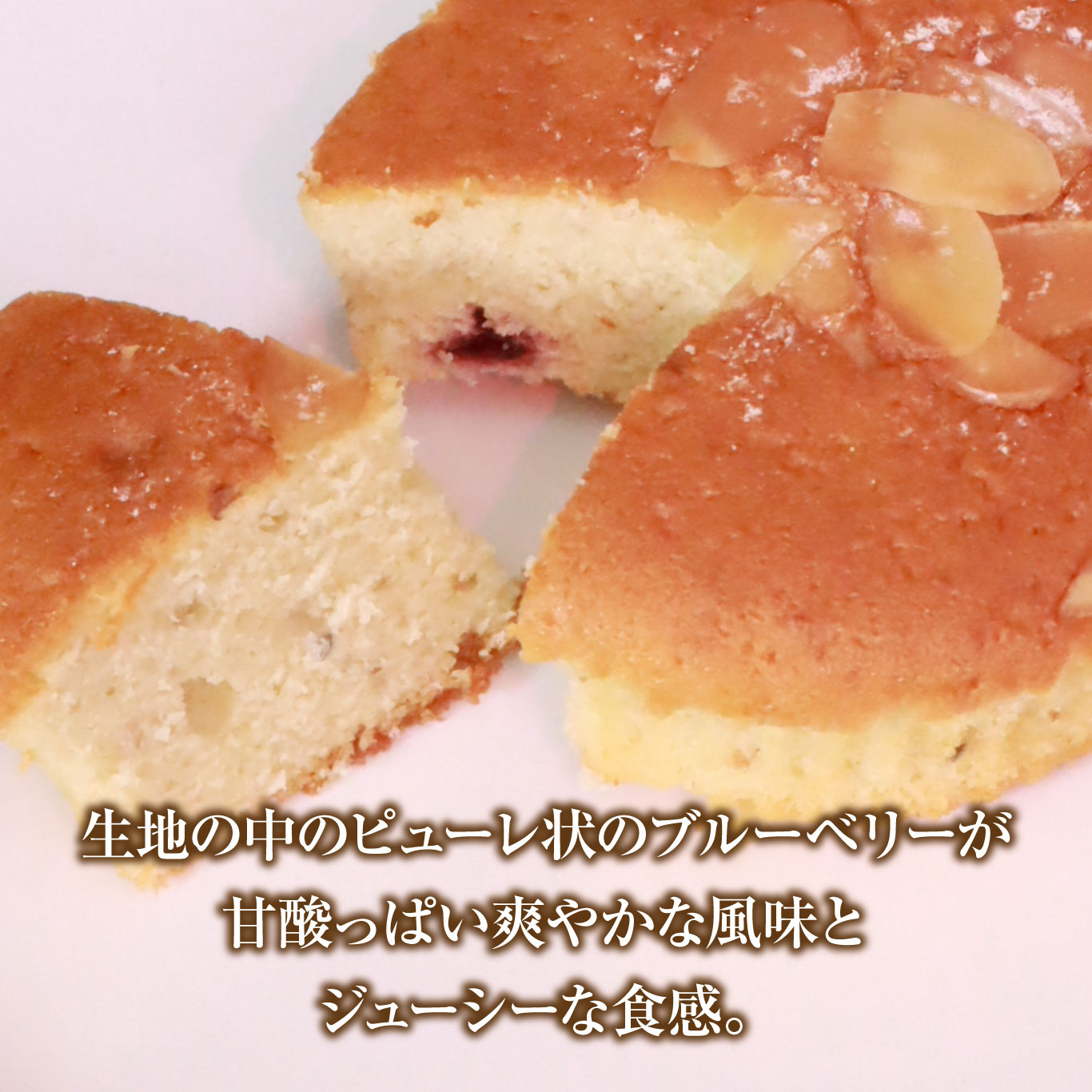 北海道上ノ国町　もがり屋のブルーベリーマドレーヌ（5個入）　洋菓子　菓子　ケーキ　焼き菓子　お土産　プレゼント　個包装