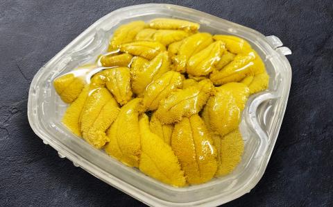 【2024年6月発送】北海道産 上ノ国町 塩水生うに（100g×2パック）