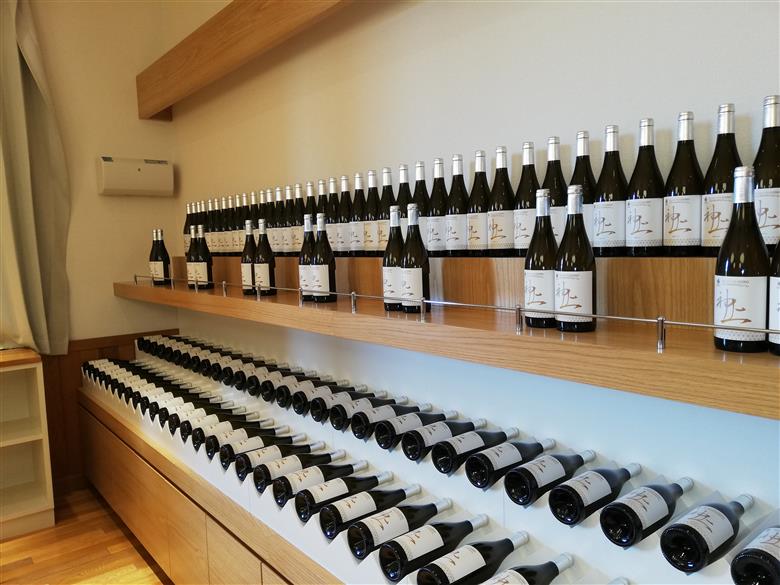 上ノ国ワイナリー＆サテライトオフィス　宿泊券１名様　観光　ビジネス　仕事　テレワーク　遊び　旅行