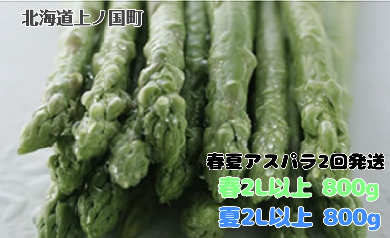 【2026年春夏発送】刀祢農園の朝採り春アスパラ2L以上（800g）と夏アスパラ2L以上（800g）の２回お届け