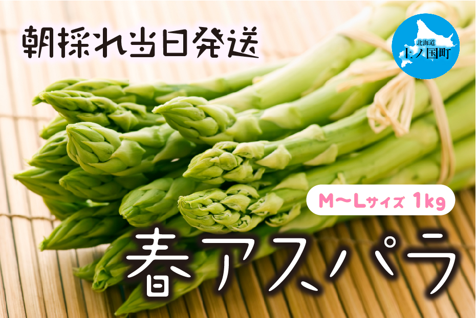 【2026年春発送】わかさ農園の朝採り春アスパラ　M～L（1㎏）　グリーンアスパラ　朝採れ　農家直送　新鮮　甘い　春野菜　旬野菜　特産品　北海道産