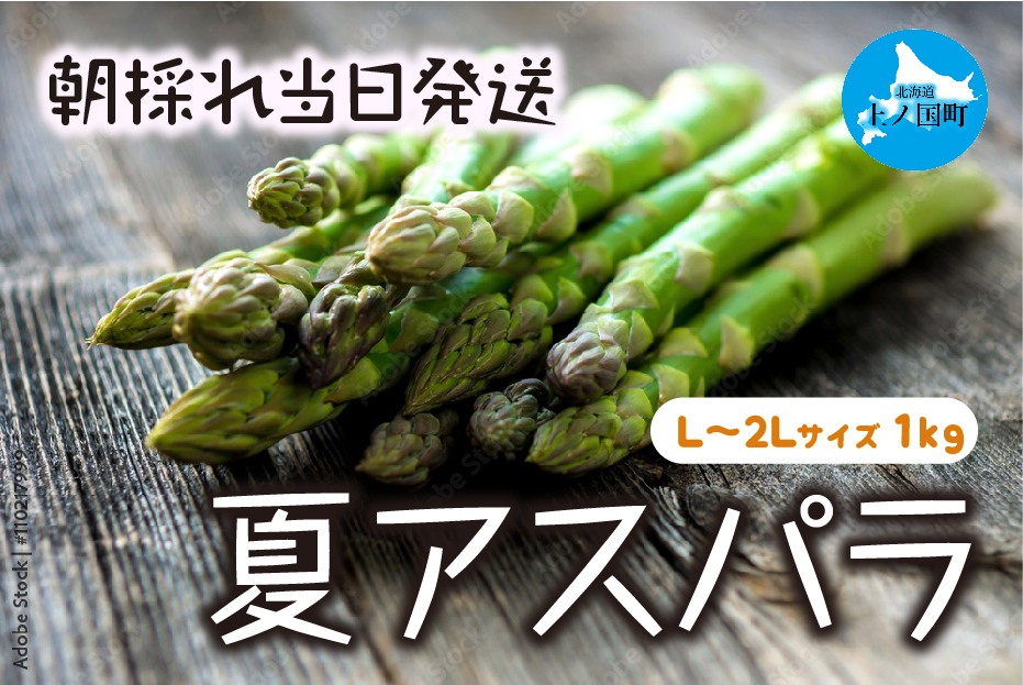 【2026年夏発送】わかさ農園の朝採り夏アスパラ　L～2L（1㎏）　朝採れ　農家直送　新鮮　グリーンアスパラ　夏野菜　旬野菜　シャキシャキ　とれたて　北海道産