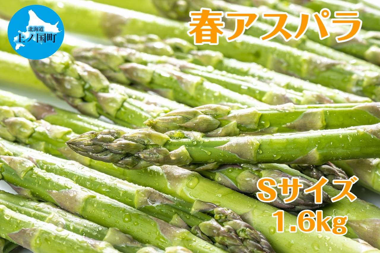 【2026年春発送】寅福菜園の朝採り春アスパラ　S（1.6㎏）　グリーンアスパラ　朝採れ　農家直送　新鮮　甘い　春野菜　旬野菜　特産品　北海道産