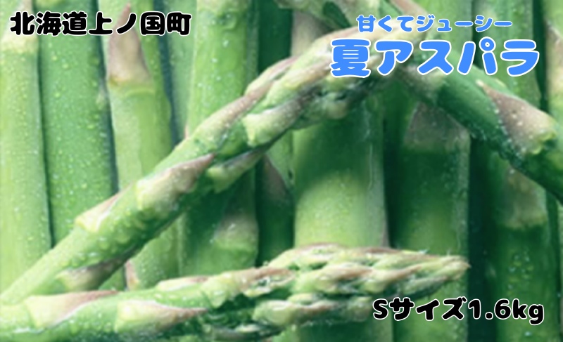 【2026年夏発送】寅福菜園の朝採り夏アスパラ　S（1.6㎏）　朝採れ　農家直送　新鮮　グリーンアスパラ　夏野菜　旬野菜　シャキシャキ　とれたて　北海道産