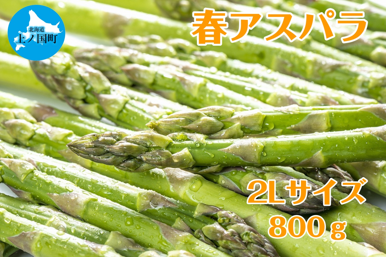 【2026年春発送】寅福菜園の朝採り春アスパラ　2L（800g）　グリーンアスパラ　朝採れ　農家直送　新鮮　甘い　春野菜　旬野菜　特産品　北海道産