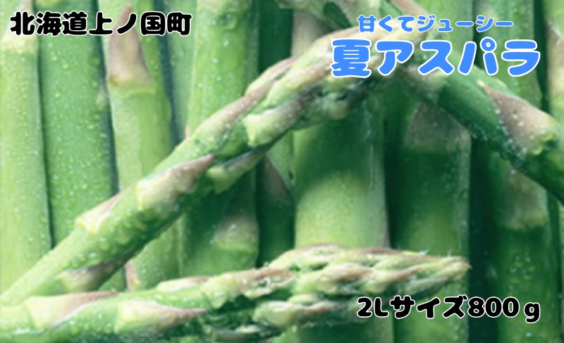 【2026年夏発送】寅福菜園の朝採り夏アスパラ　2L（800g）　朝採れ　農家直送　新鮮　グリーンアスパラ　夏野菜　旬野菜　シャキシャキ　とれたて　北海道産