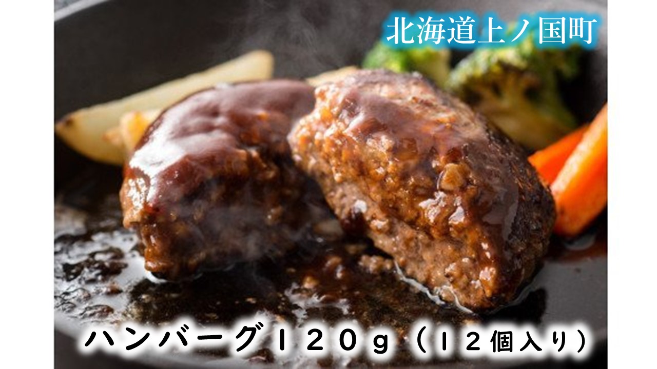 フルーツポークのハンバーグ（120g×12個）　豚肉　ぶたにく　ブタニク　人気　肉料理　ヨーグルト　柔らかい　精肉店ハンバーグ　豚ハンバーグ　肉汁　手作りハンバーグ　お弁当おかず　北海道産
