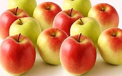 【2023年】北海道上ノ国町産 酸味と甘さが絶妙な【林檎（むつ）】 8個