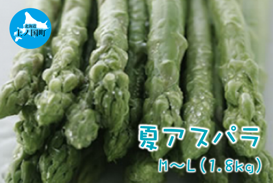 [2026年夏発送]刀祢農園の朝採り夏アスパラ M〜L(1.8kg) 朝採れ 農家直送 新鮮 アスパラ グリーンアスパラ 夏野菜 旬野菜