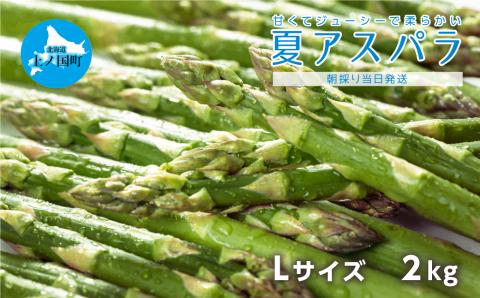 【2024年夏発送】北海道上ノ国町産 寅福菜園の朝採れ夏アスパラ L（2㎏）