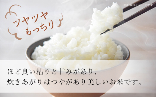 【令和7年産】 北海道厚沢部産 ふっくりんこ 2kg ASG048