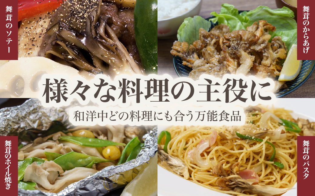 北海道厚沢部町産 業務用えぞ舞茸（バラタイプ）500g×4個 ASM006