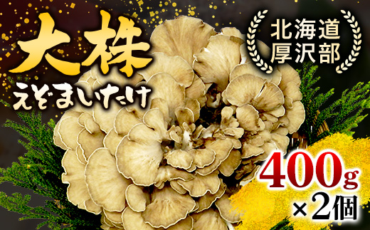 北海道厚沢部町産　大株えぞまいたけ　400g×2個 ASM001